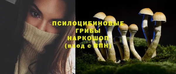 не бодяженный Алексин