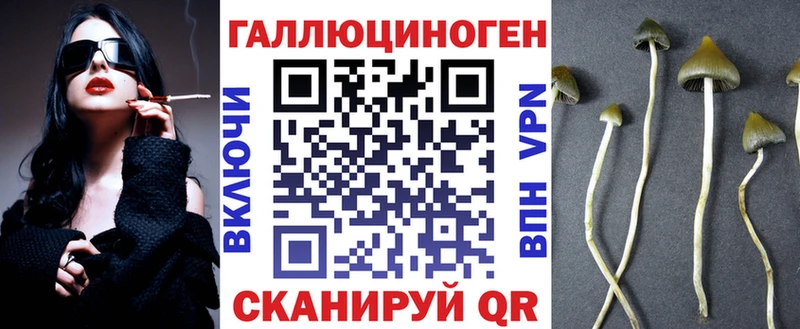 магазин продажи наркотиков  Котовск  Псилоцибиновые грибы мухоморы 