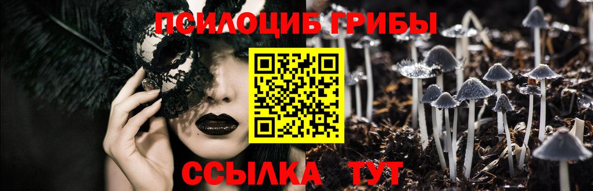 Котовск  Псилоцибиновые грибы мухоморы  Вход с VPN  Псилоцибиновые грибы MAGIC MUSHROOMS 