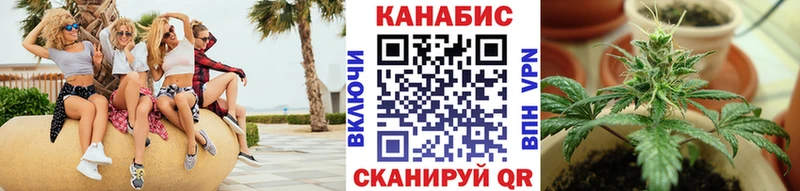 Бошки Шишки сатива Котовск